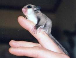 �Q�W��������