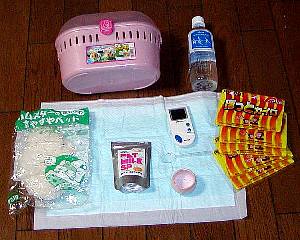 �����O�b�Y