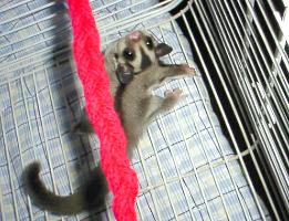 �P�[�W�̒�������������