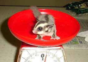 �W���Q�V���R�T��