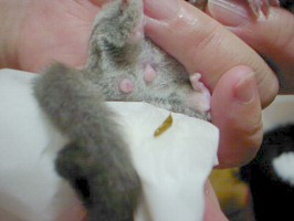 ���F���E���`